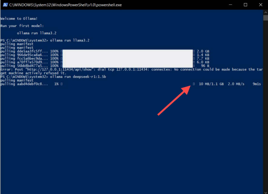 deepseek-r1 installing process